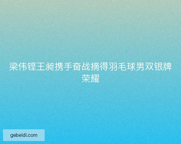 梁伟铿王昶携手奋战摘得羽毛球男双银牌荣耀