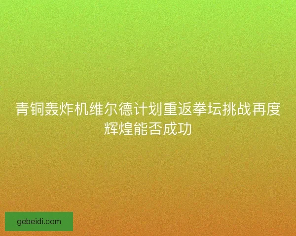 青铜轰炸机维尔德计划重返拳坛挑战再度辉煌能否成功 青铜轰炸机维尔德计划重返拳坛挑战再度辉煌能否成功